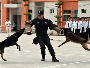 警犬護衛